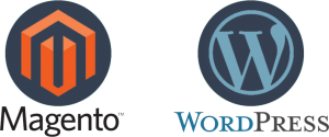 Magento of wordpress website?