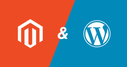 magento plugin of wordpress plugin